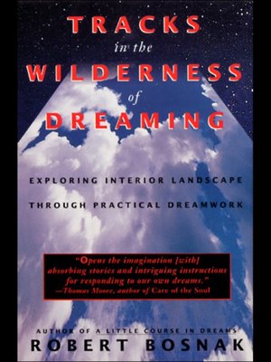 cover image of Tracks in the Wilderness of Dreaming